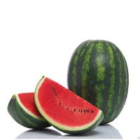 Watermelon-house-of-seeds
